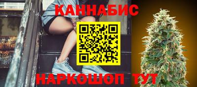 соль ск Новодвинск