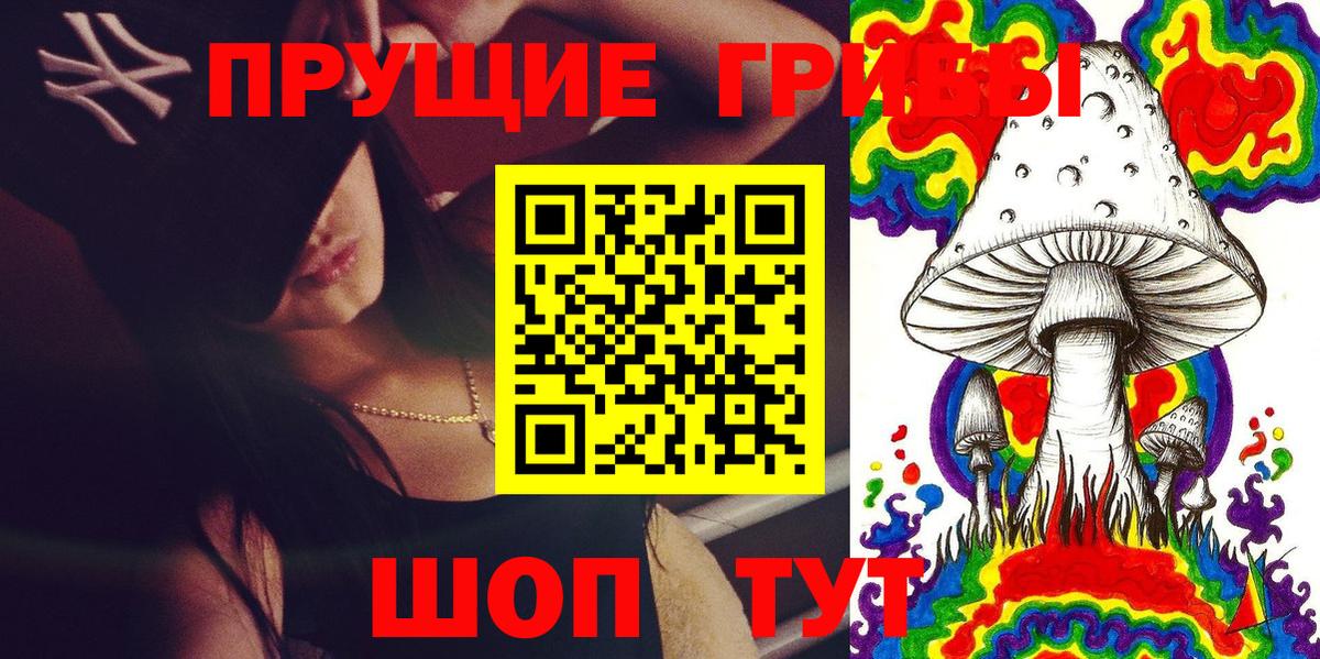 Сергиев Посад  сколько стоит  Вход с VPN  Псилоцибиновые грибы мухоморы 